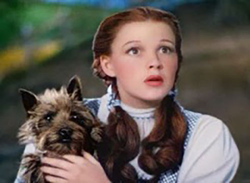 dorothy